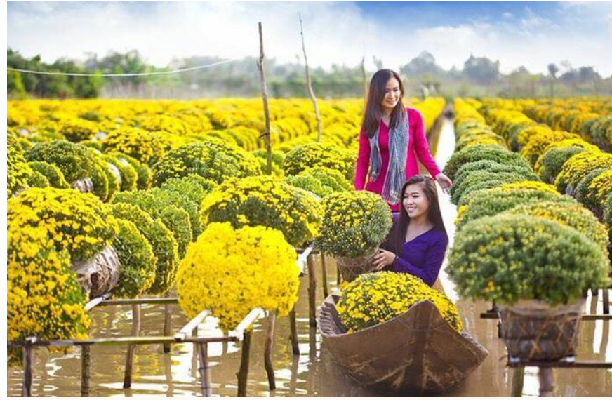 Sắp diễn ra lễ hội Quýt hồng Lai Vung và tuần lễ du lịch gắn với hội hoa xuân Quý Mão năm 2023
