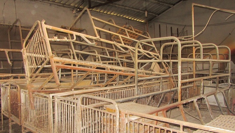 Trại lợn của gia đình ông Tĩnh đầu tư hàng trăm triệu đồng phải bỏ trống vì không chịu được nhiệt cơn bão giá thức ăn chăn nuôi.