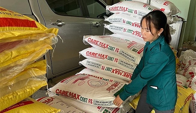 Giá heo hơi hôm nay 6/4 vẫn ở mức thấp kỷ lục trong khi chi phí chăn nuôi tăng cao khiến người nuôi heo thua lỗ nặng.