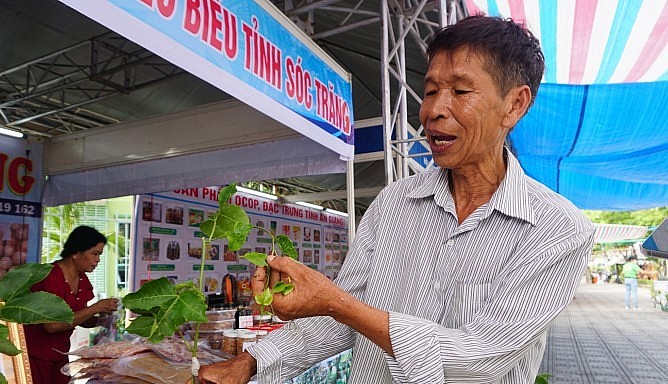 Ông Sáu Công giới thiệu giống cây chanh leo ngọt tại hội chợ.