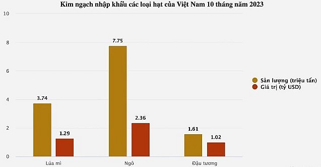Việt Nam chi 1,02 tỷ USD nhập khẩu đậu tương trong 10 tháng