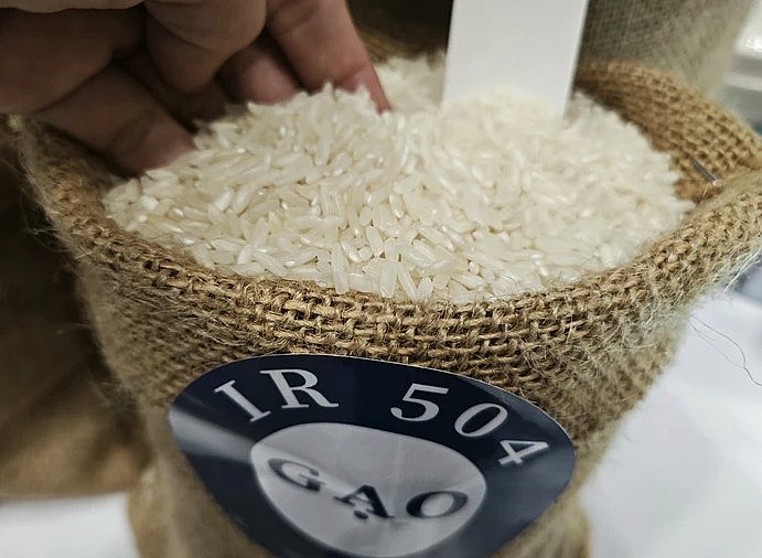 Giá gạo Việt Nam xuất khẩu quay đầu giảm vẫn đắt nhất thế giới.