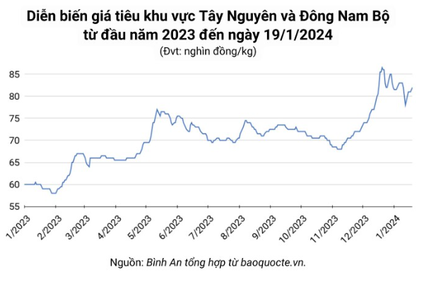 Giá nông sản ngày 19/1/2024: Cà phê tiếp tục giảm, hồ tiêu chạm ngưỡng 82.000 đồng/kg
