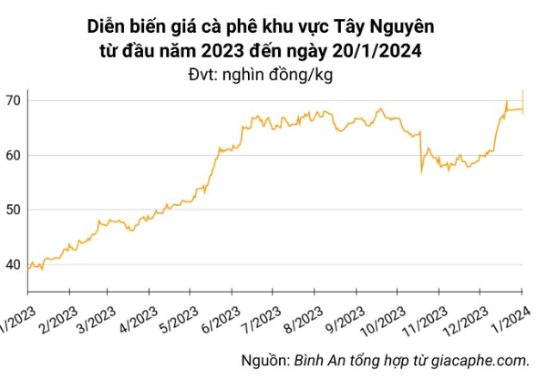 Giá nông sản ngày 20/1/2024: Cà phê đồng loạt tăng, hồ tiêu đạt 82.500 đồng/kg