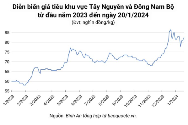 Giá nông sản ngày 20/1/2024: Cà phê đồng loạt tăng, hồ tiêu đạt 82.500 đồng/kg