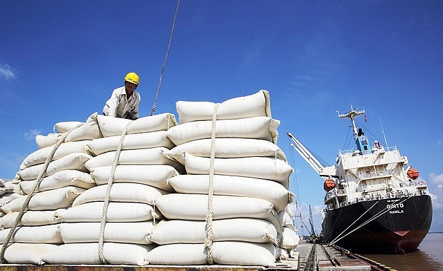năm 2023 được đánh giá là năm “đại thành công” của ngành lúa gạo Việt Nam