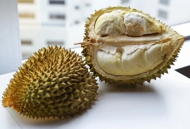 Một quả sầu riêng được trồng tại Hải Nam, Trung Quốc. Ảnh: SCMP.