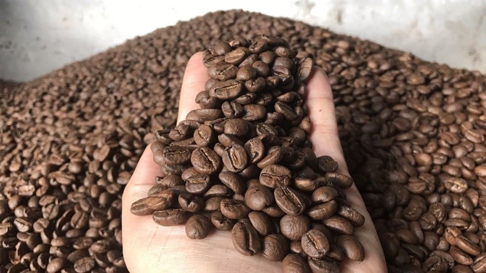 giá cà phê trong nước đã giảm mạnh 3.500 đồng/kg chỉ sau 2 ngày