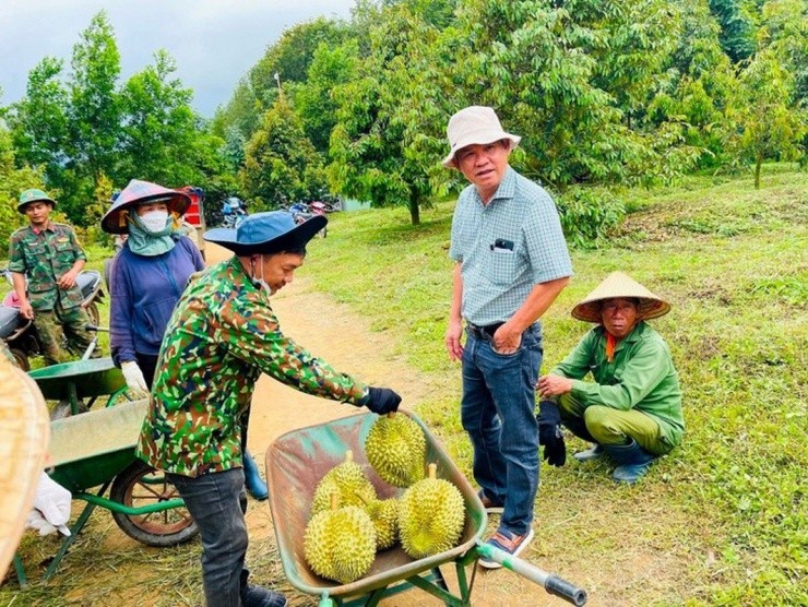 Nguồn thu đột biến từ sầu riêng chưa giúp công ty bầu Đức tăng doanh thu.