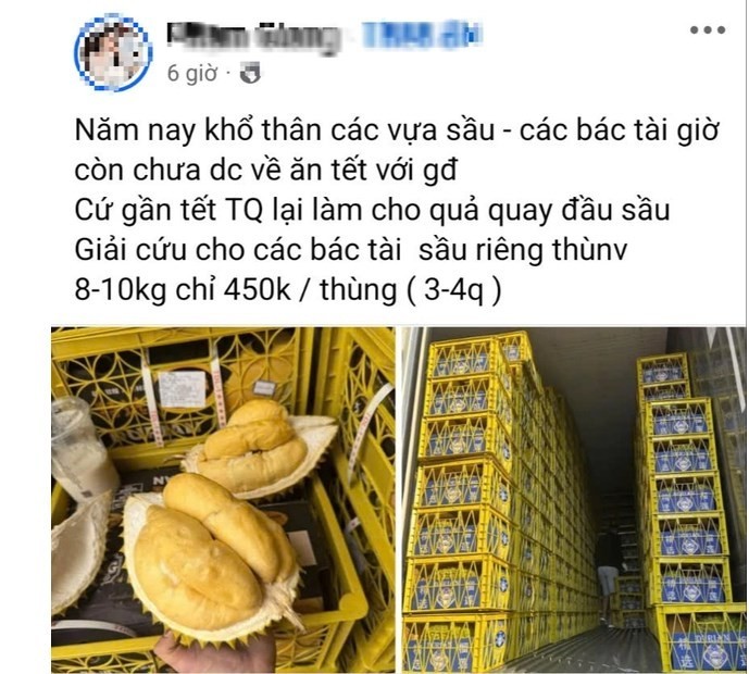 Vấn đề của ngành sầu riêng không chỉ là câu chuyện về giá