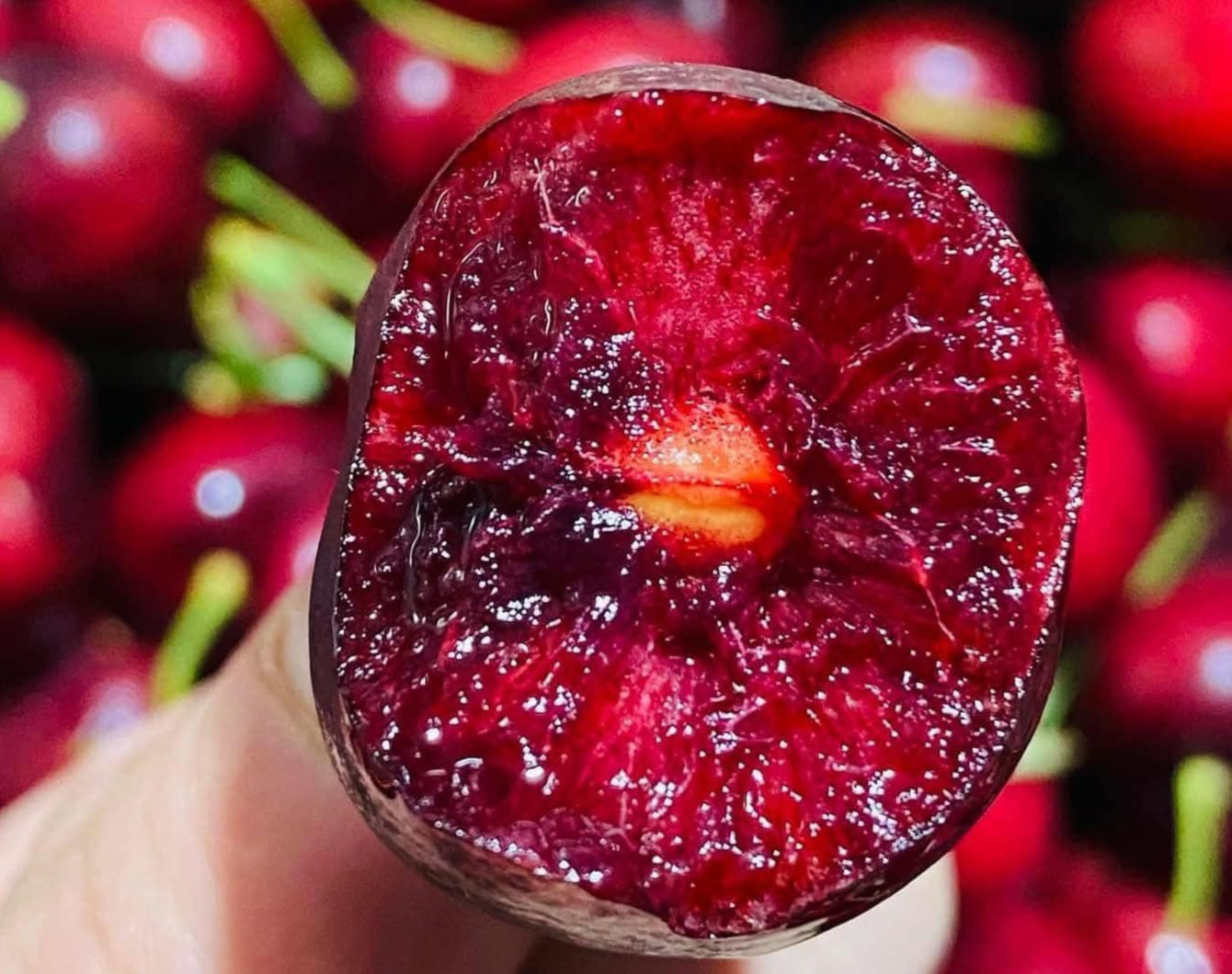 Ăn nhiều cherry có tốt không?