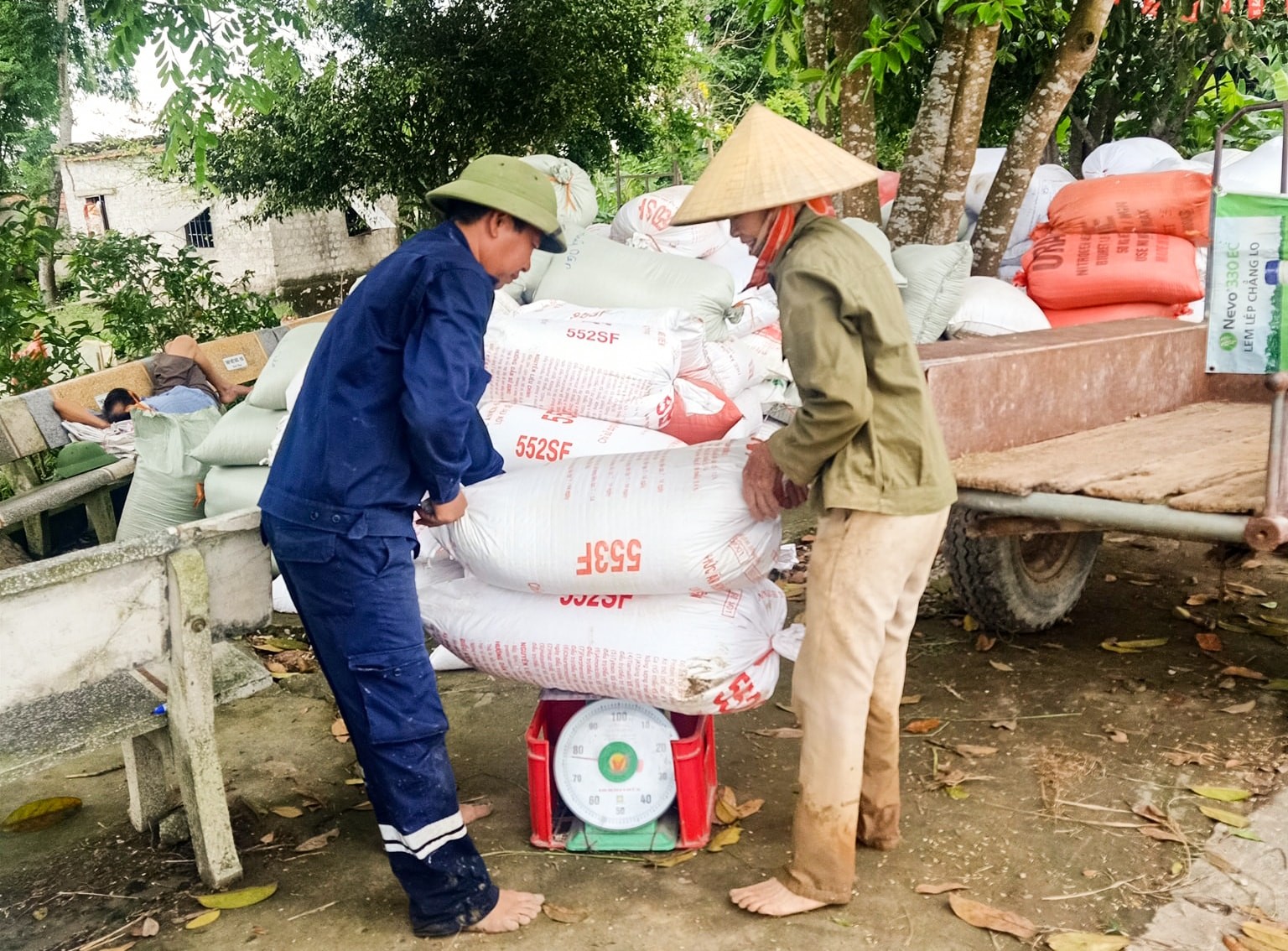 Thủ tướng chỉ đạo khẩn trương thực hiện các giải pháp đảm bảo cân đối cung cầu lúa gạo