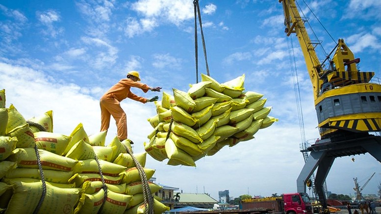 giá gạo xuất khẩu giảm. Về phía các doanh nghiệp xuất khẩu cũng gặp những khó khăn nhất định. 