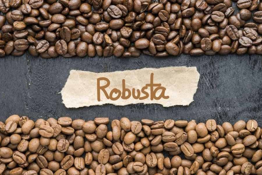 Giá cà phê Robusta tiếp tục giảm mạnh, thị trường nội địa theo đà lao dốc