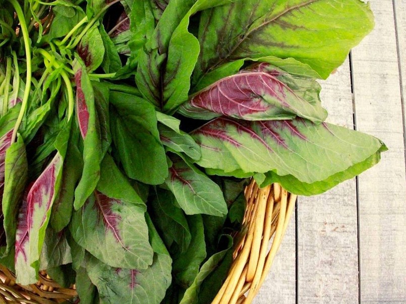 Chất xơ trong rau dền còn hỗ trợ tiêu hóa, thải độc qua đường ruột, từ đó giảm áp lực lên gan.