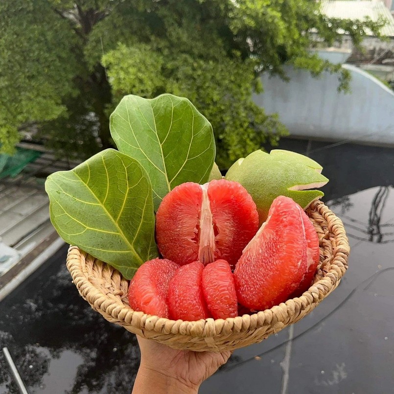 Thành phần naringenin trong bưởi giúp giảm viêm và bảo vệ tế bào gan.