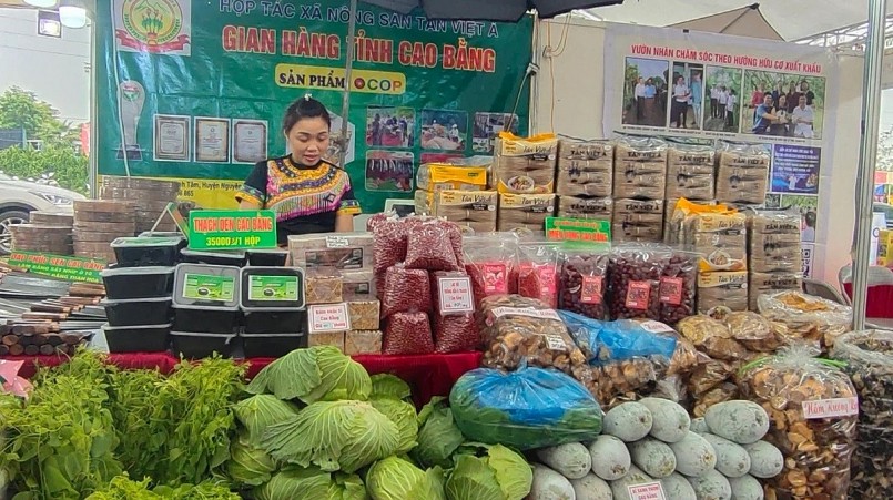 Tính đến đầu năm 2025, toàn tỉnh Cao Bằng có hơn 150 sản phẩm OCOP đạt hạng từ 3 sao trở lên.