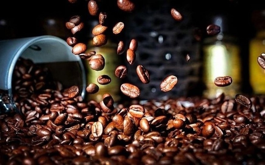 Giá cà phê 15/10: Trong nước tăng cao, xuất khẩu tiến sát kỷ lục 9 tỷ USD