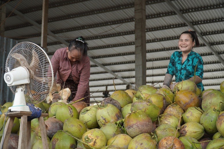 Ngành dừa Việt tái cấu trúc sinh thái - tuần hoàn để xây dựng thương hiệu