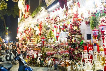 Phố Hàng Mã rực rỡ mùa Noel